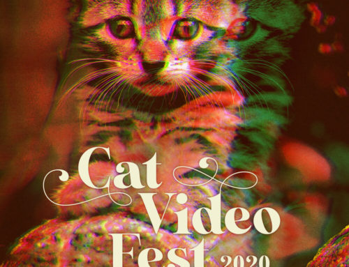 Film Review: CATVIDEOFEST 2020